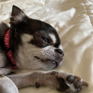 Meet your Posher, Kiersten